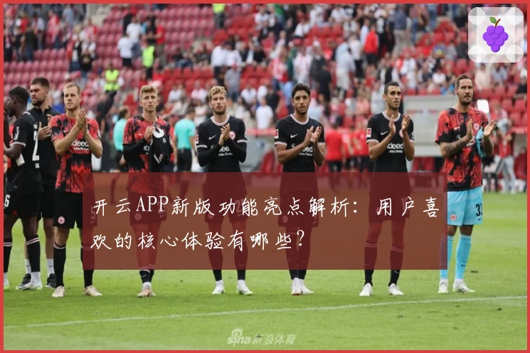 开云APP新版功能亮点解析：用户喜欢的核心体验有哪些？